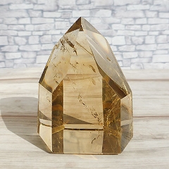 �V�g���������|�C���g�@2