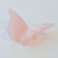 ���[�Y�N�I�[�c�@�o�^�t���C�@