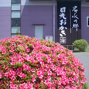 �����������H�[ �X��